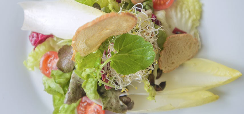 Bio Restaurant Bodensee - Salat