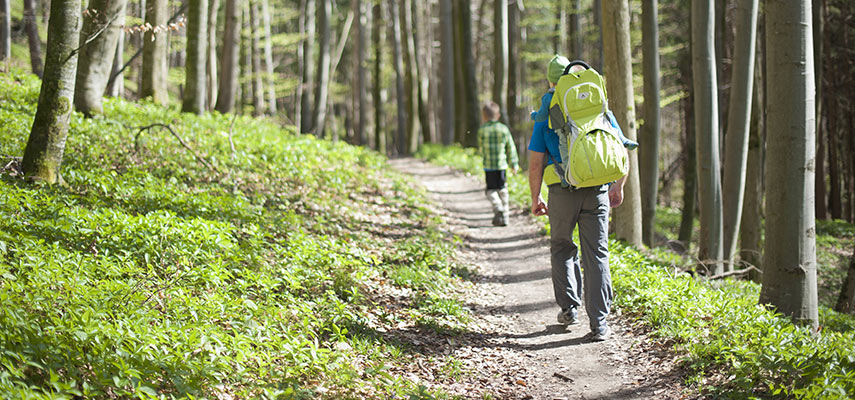 Wandern im Deggenhauser Tal am Bodesee